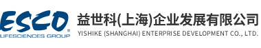 BG大游集团